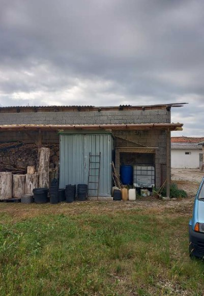 Immobile Commerciale immobiliare
