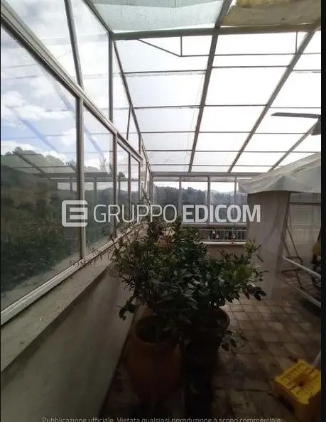 Legalemte.net Legalemte.net