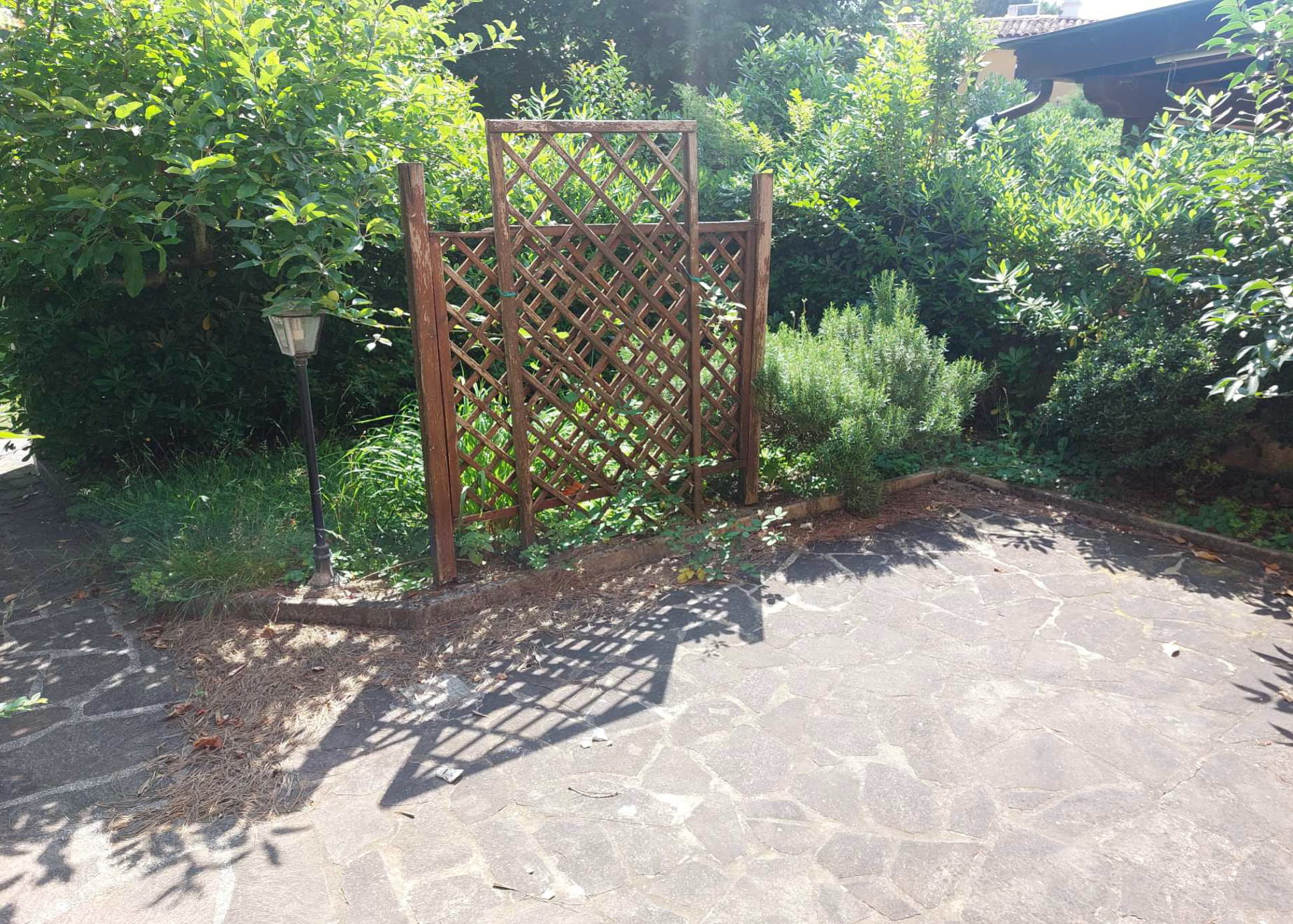 Abitazione di tipo economico immobile residenziale