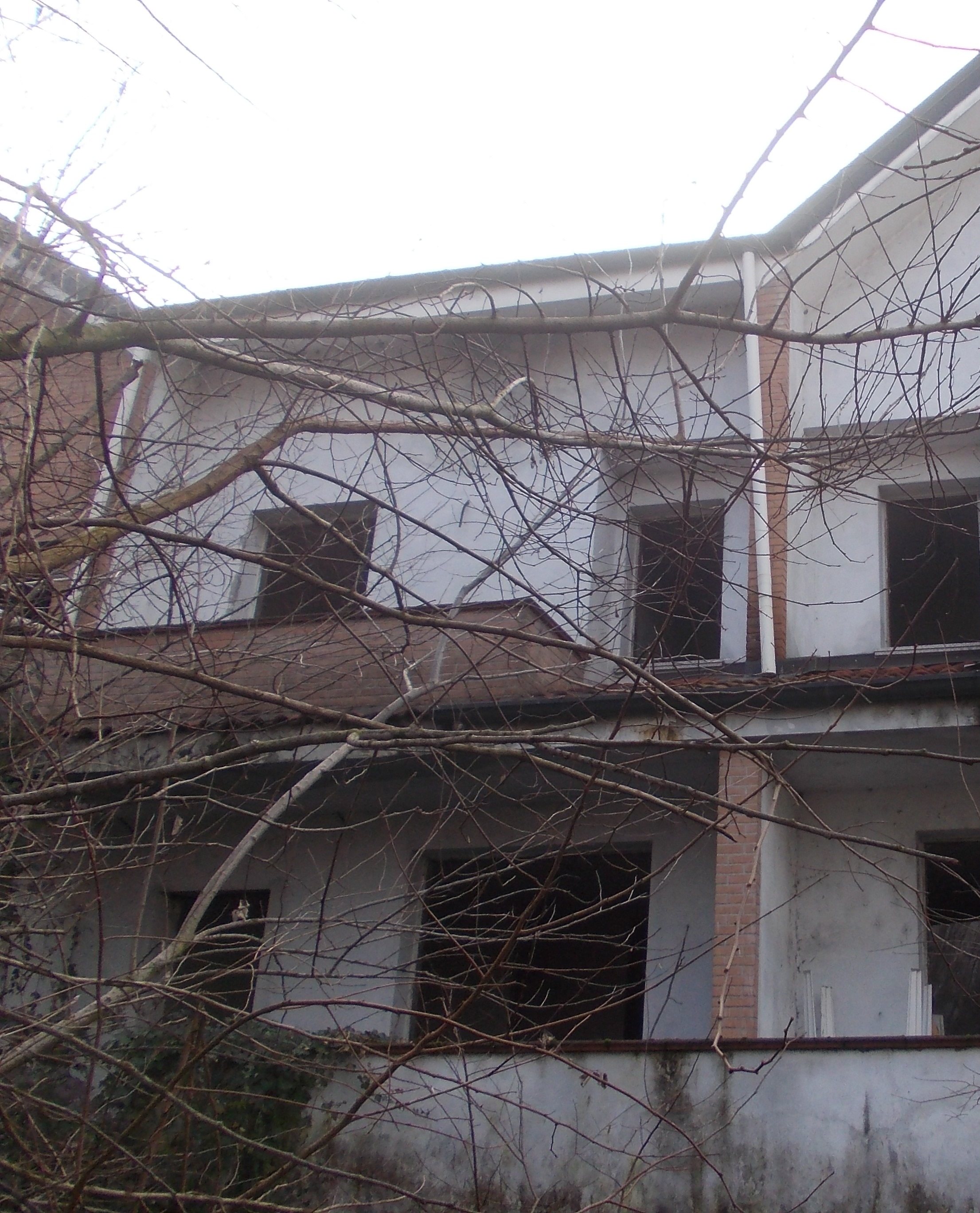 Abitazione in villini immobile residenziale