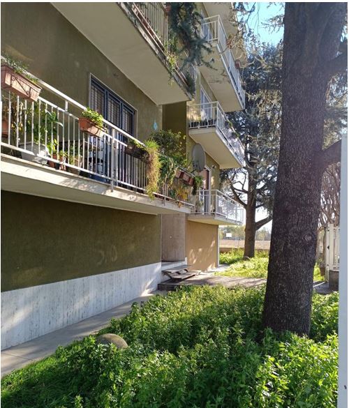 Abitazione di tipo economico immobile residenziale