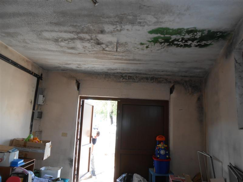 Abitazione di tipo economico immobile residenziale
