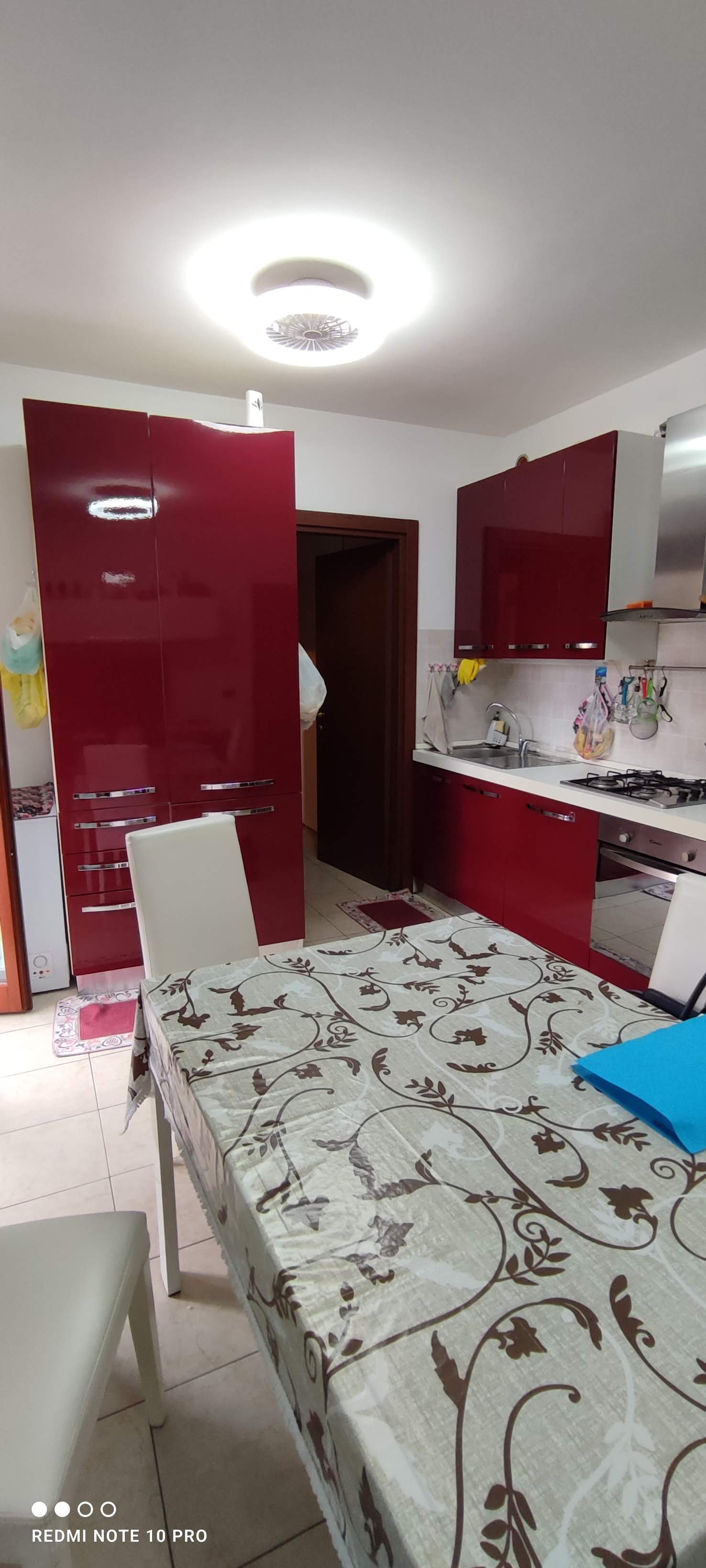 Abitazione di tipo economico immobile residenziale