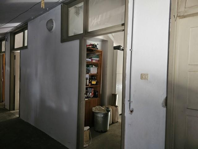 Immobile Procedura 65 2023