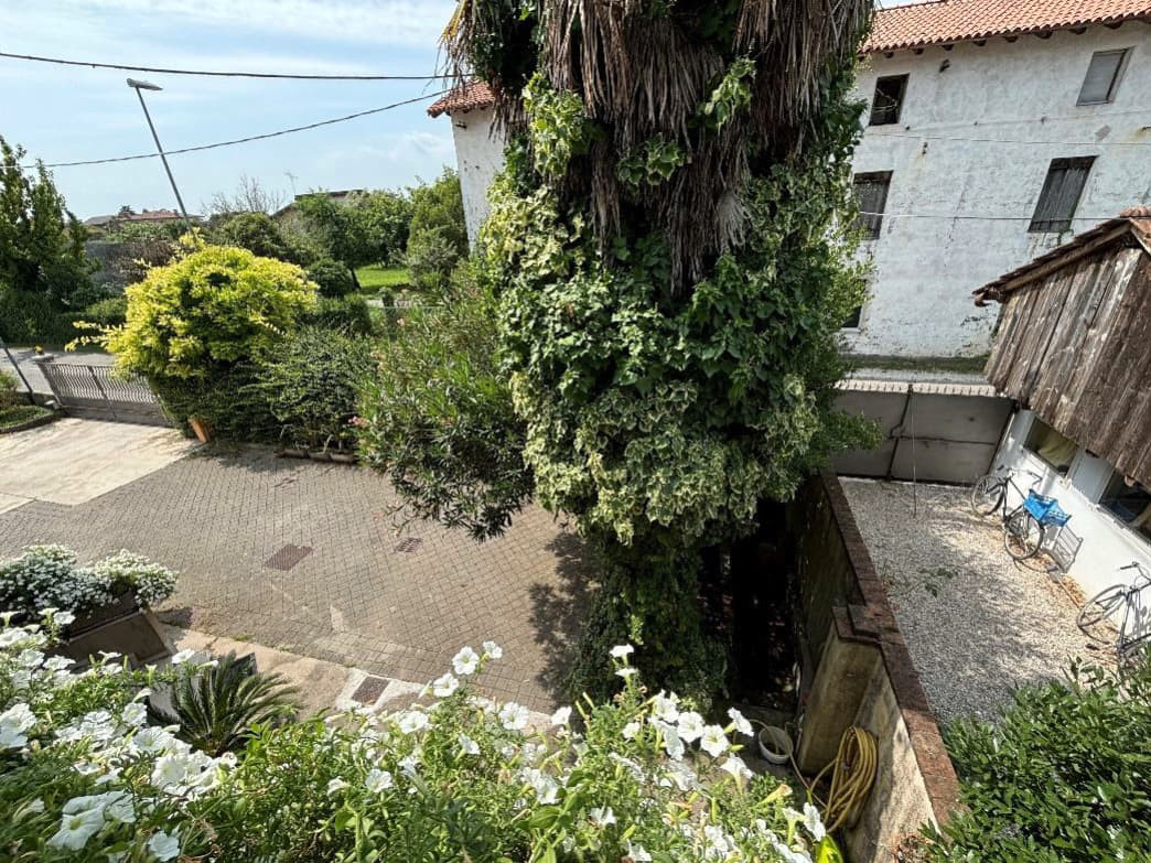 Abitazione di tipo economico immobile residenziale