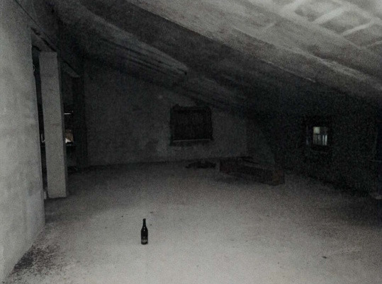 Abitazione di tipo economico immobile residenziale