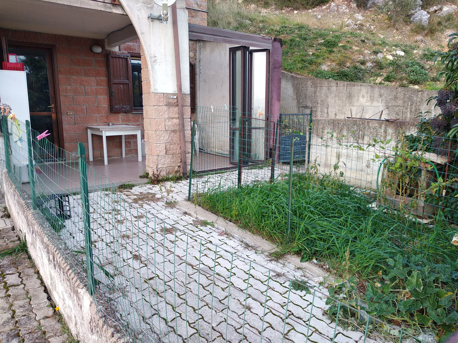 Legalemte.net Legalemte.net