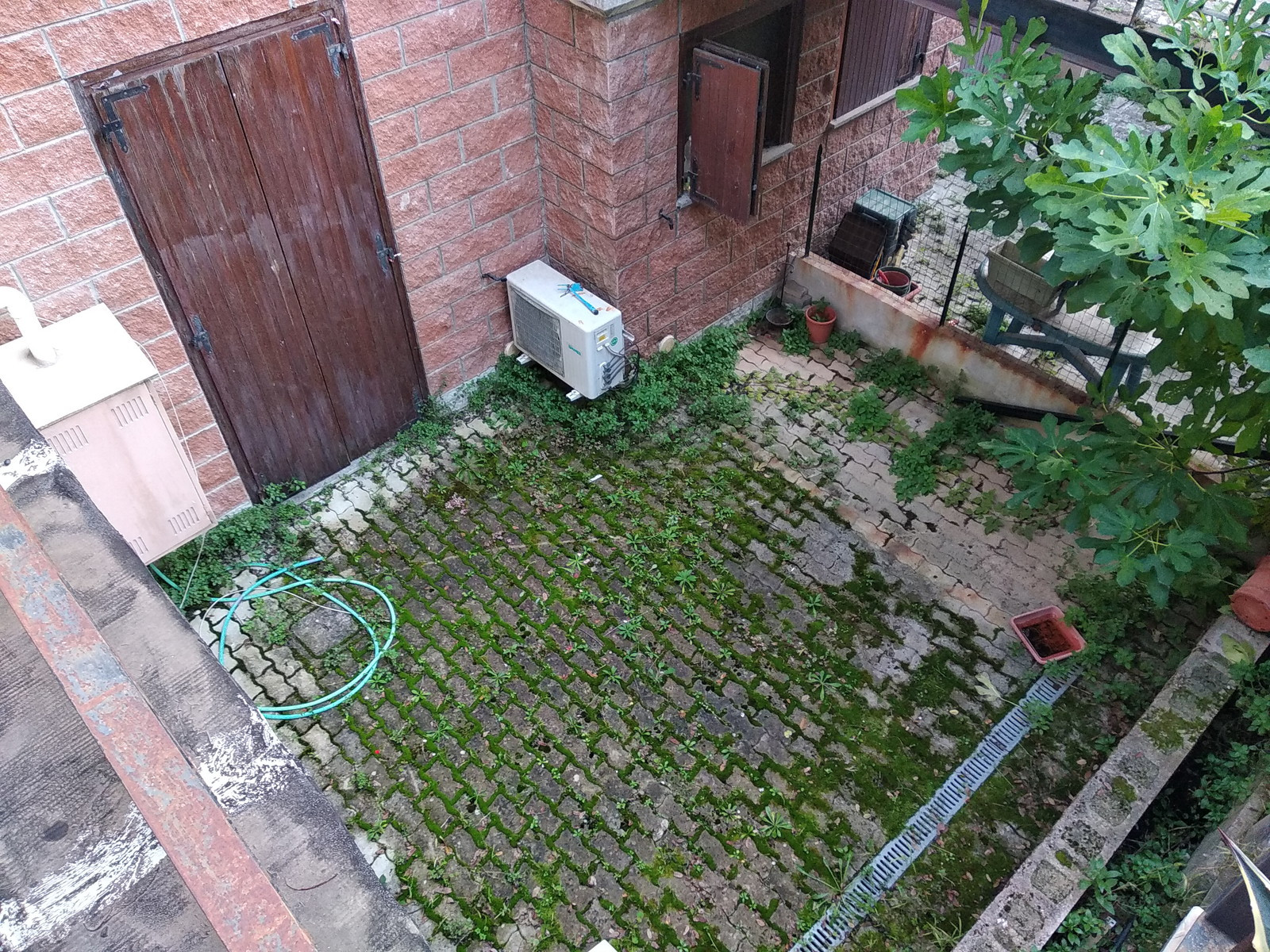 Legalemte.net Legalemte.net