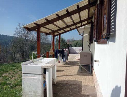 Legalemte.net Legalemte.net