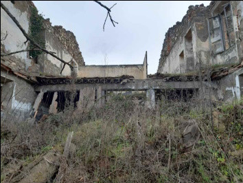 Legalemte.net Legalemte.net