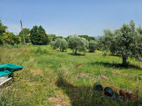 Abitazione di tipo economico immobile residenziale