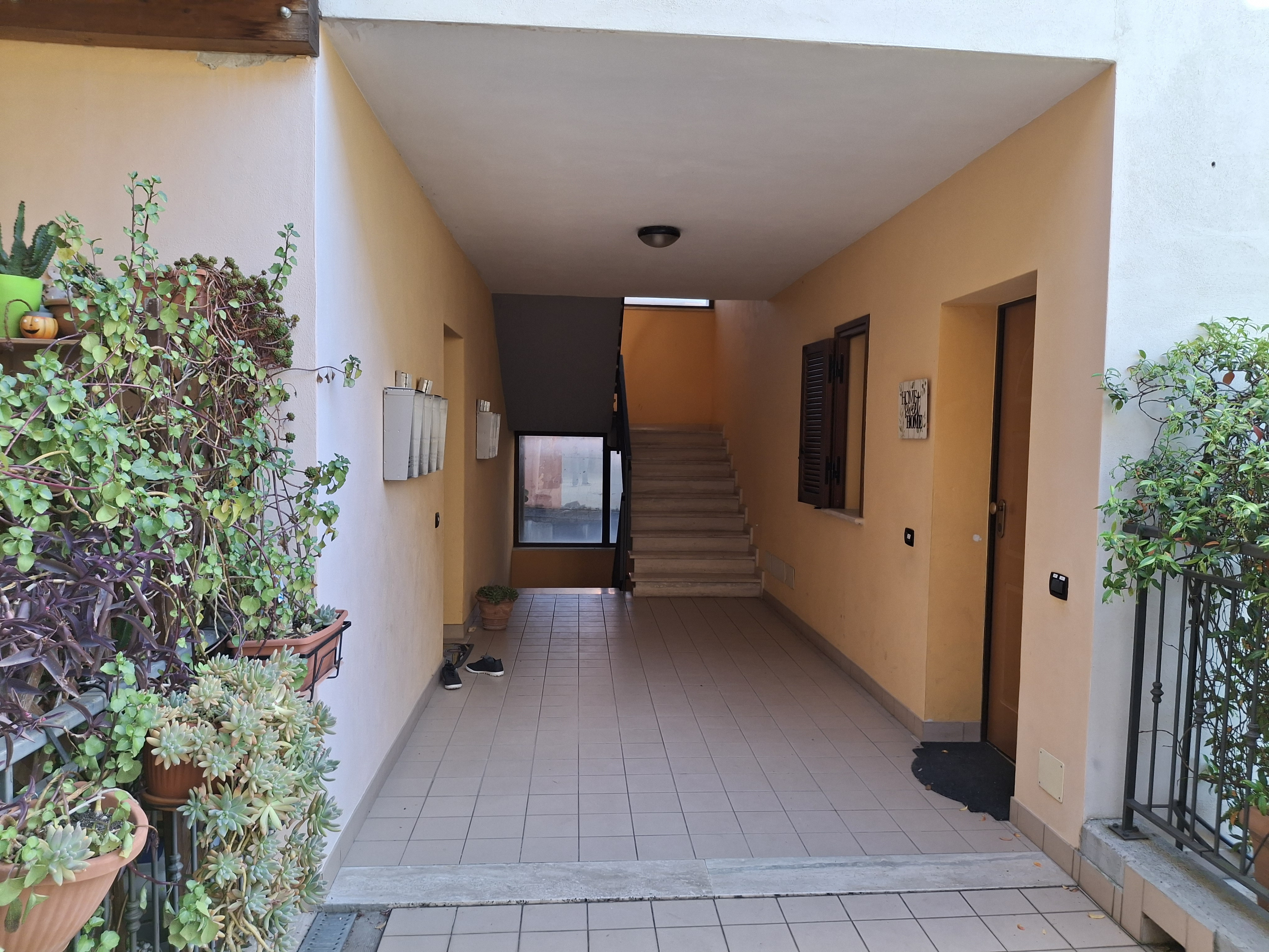 Legalemte.net Legalemte.net