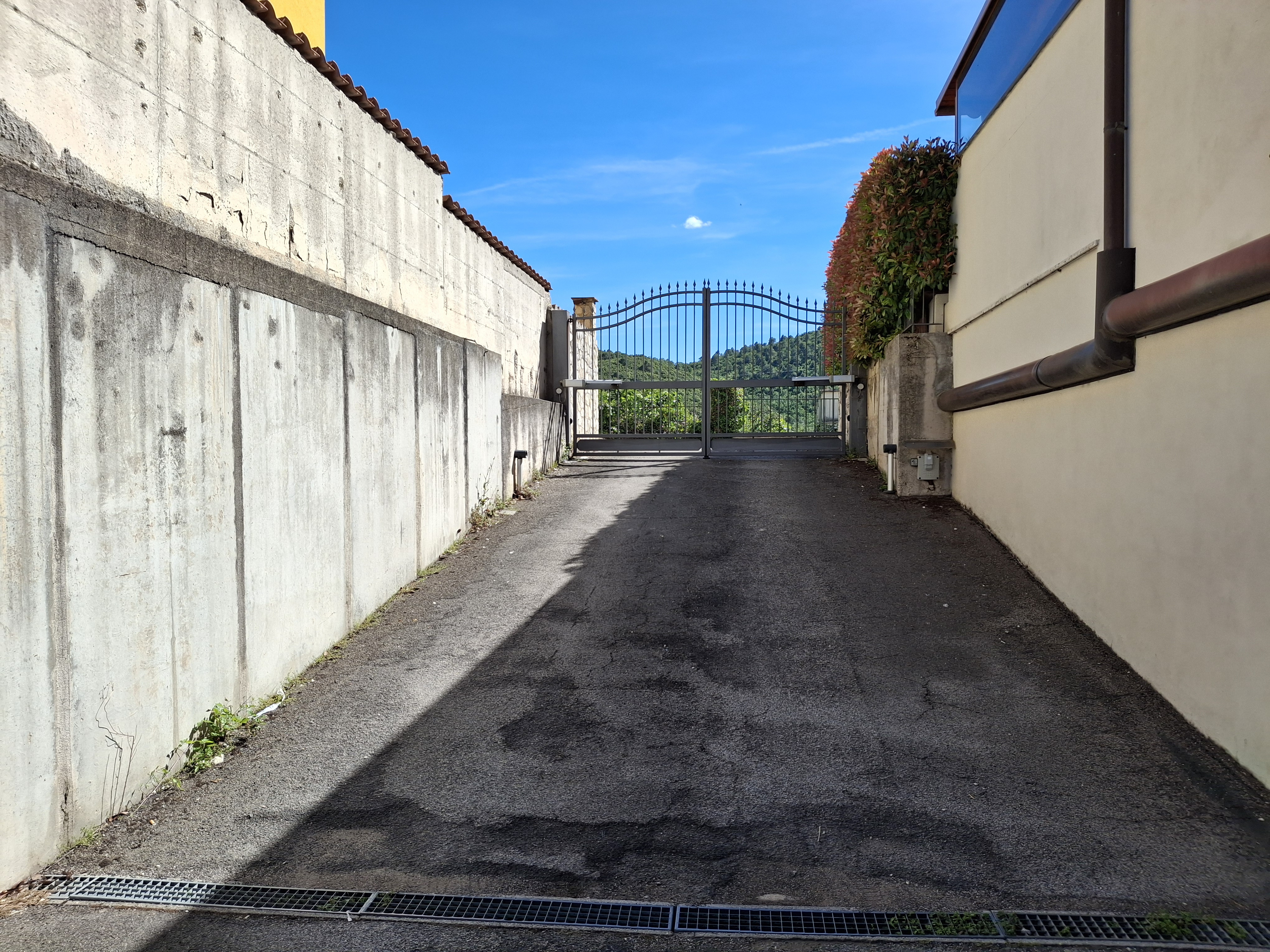 Legalemte.net Legalemte.net