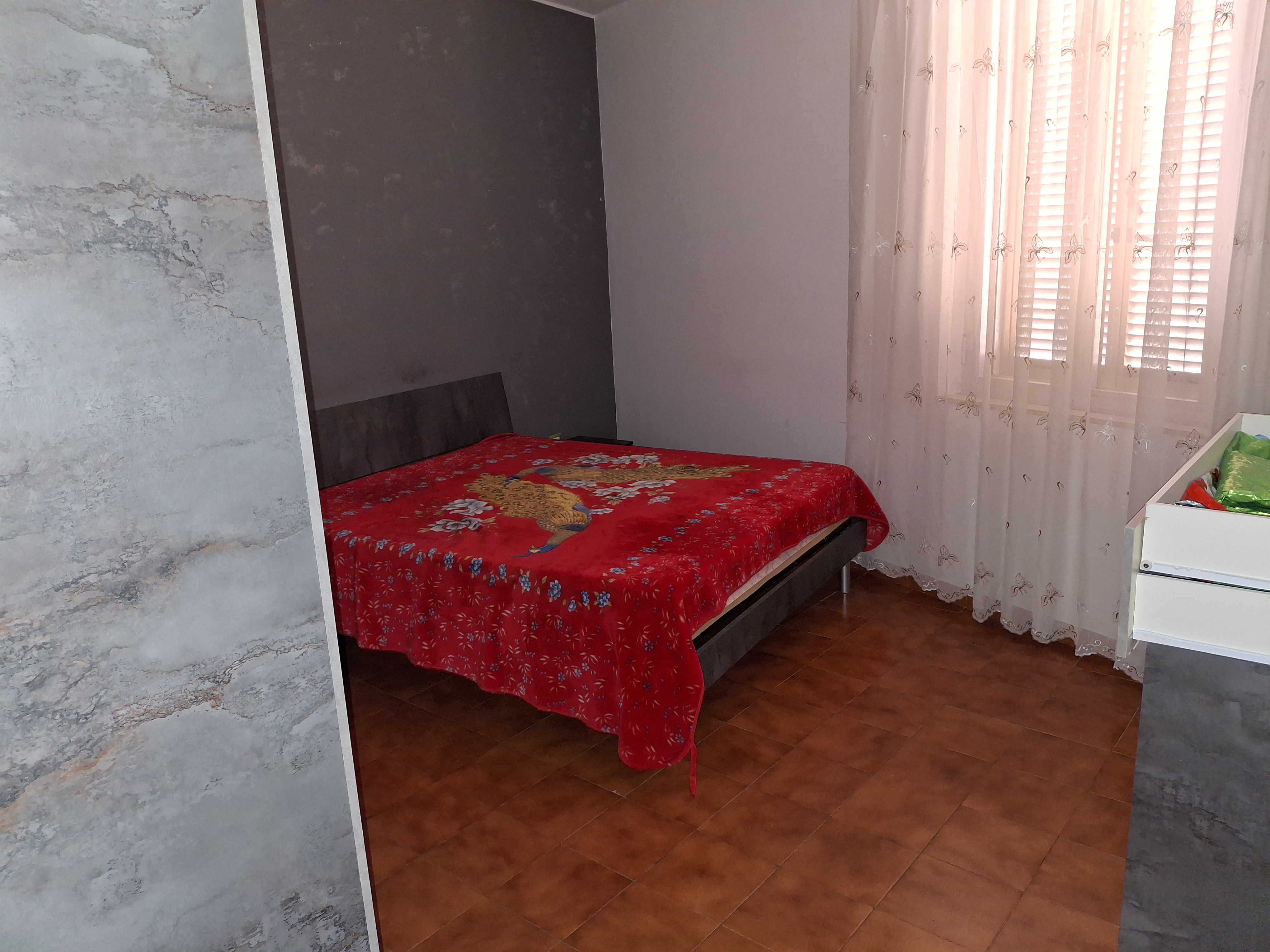 Legalemte.net Legalemte.net