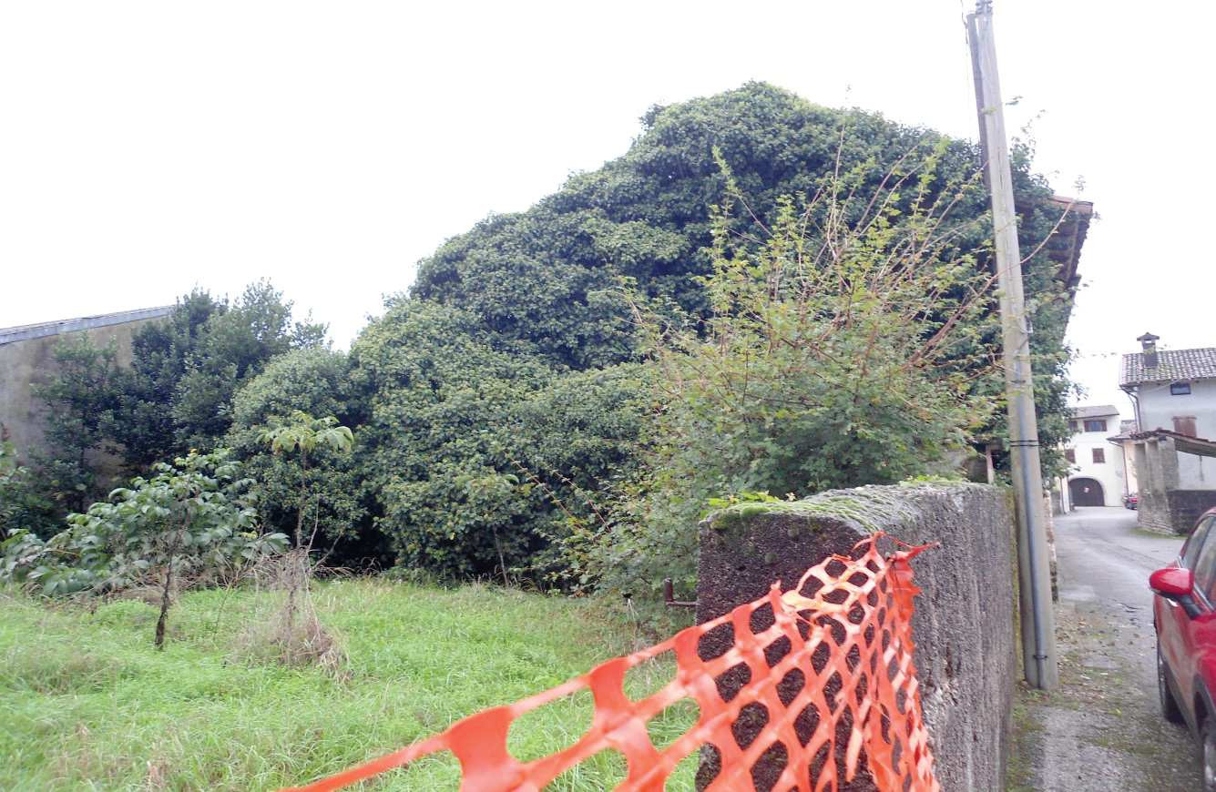 Abitazione di tipo economico immobile residenziale