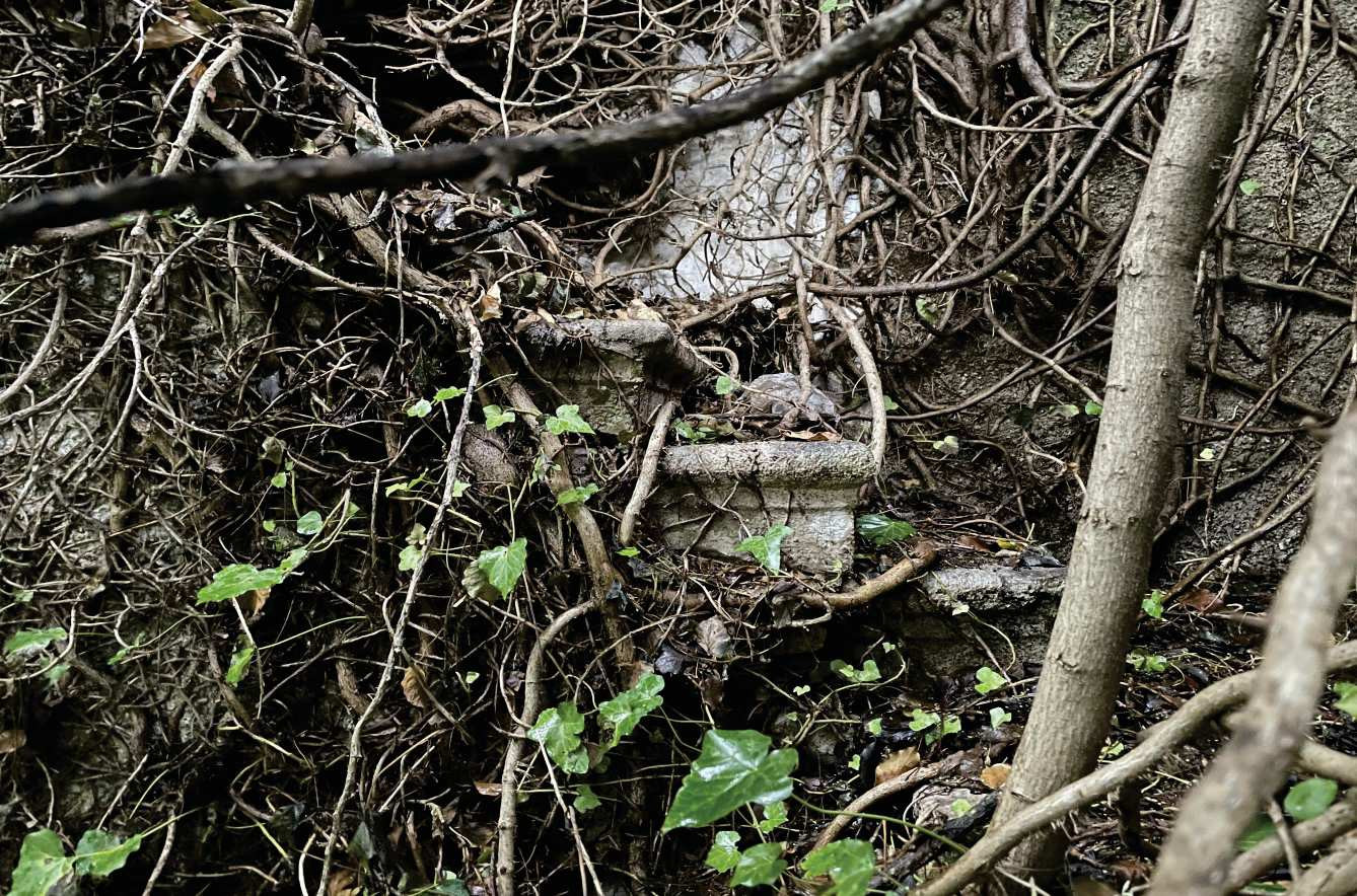 Abitazione di tipo economico immobile residenziale