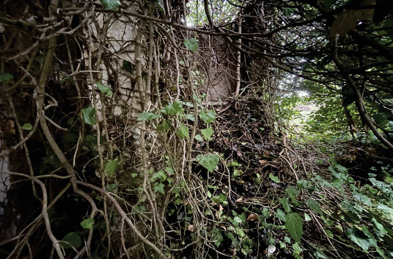 Abitazione di tipo economico immobile residenziale