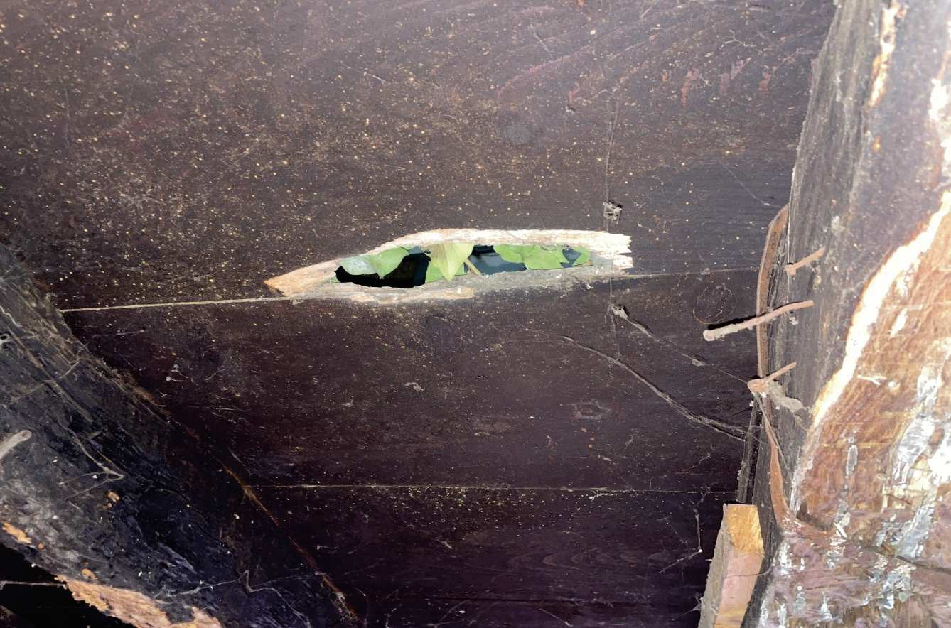 Abitazione di tipo economico immobile residenziale