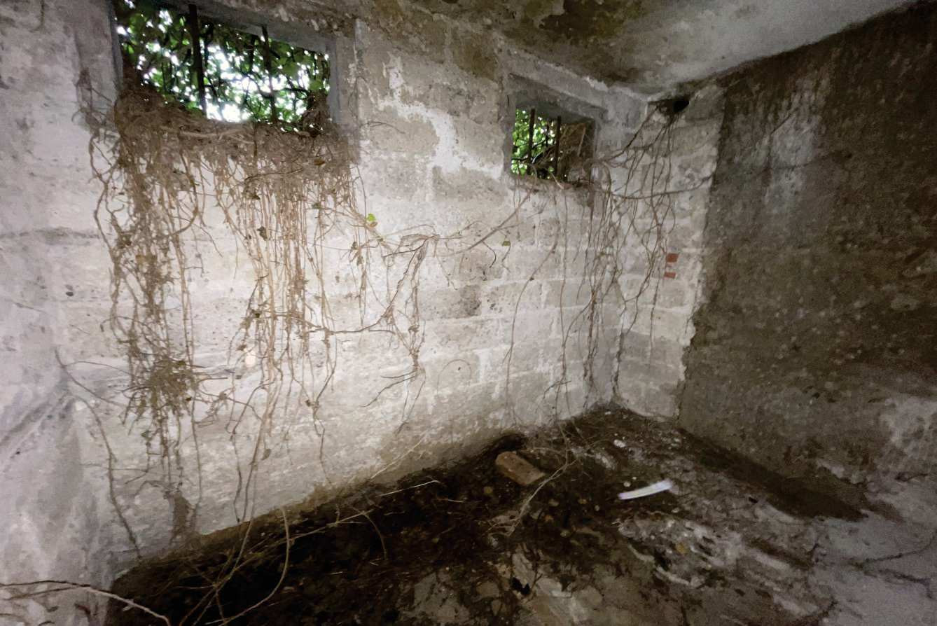 Abitazione di tipo economico immobile residenziale