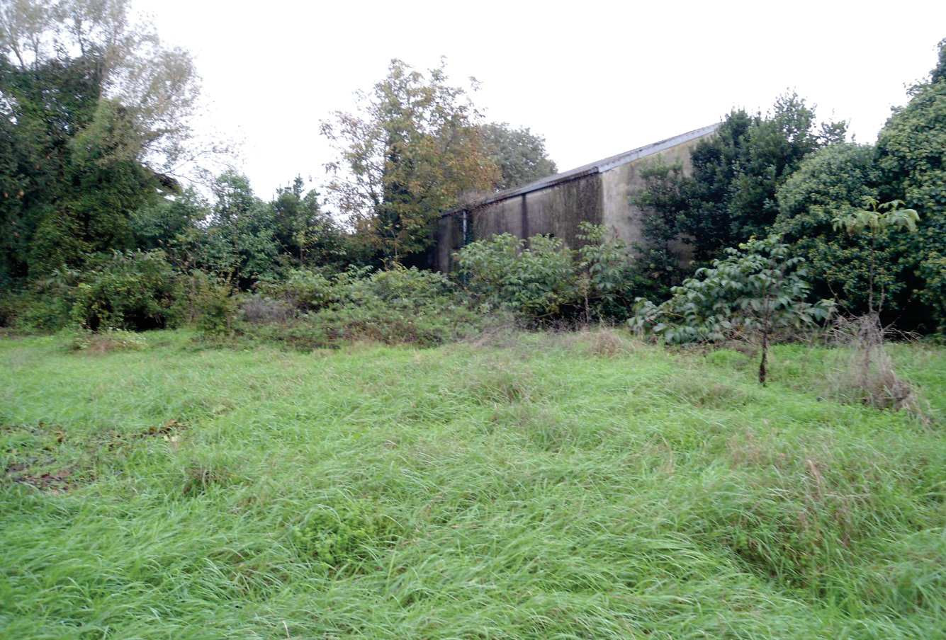 Abitazione di tipo economico immobile residenziale