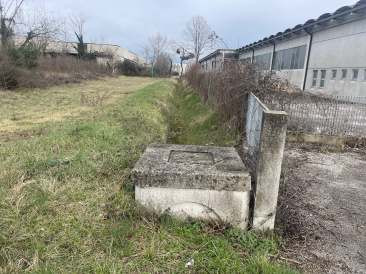 Immobile Procedura 46 2023