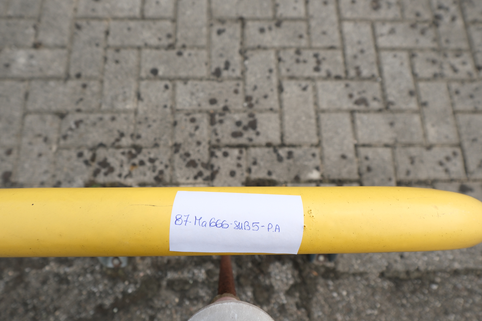 Immobile Procedura 172 2024