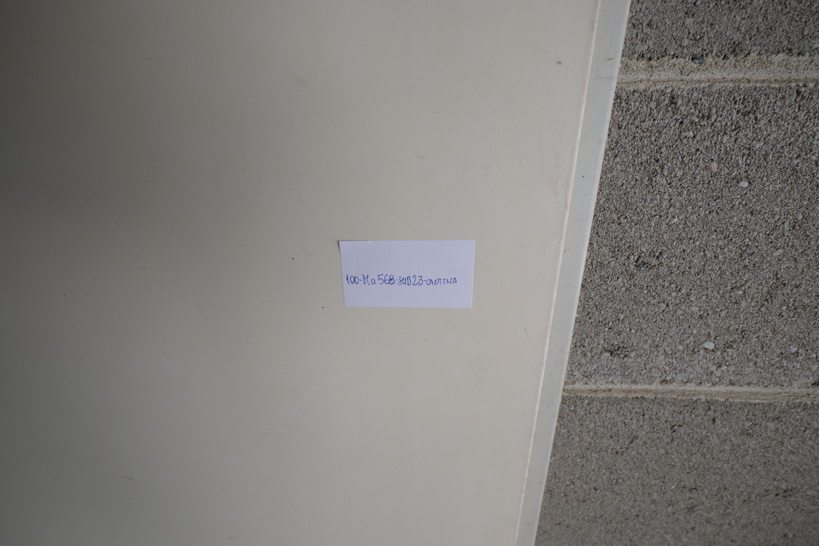 Immobile Procedura 172 2024