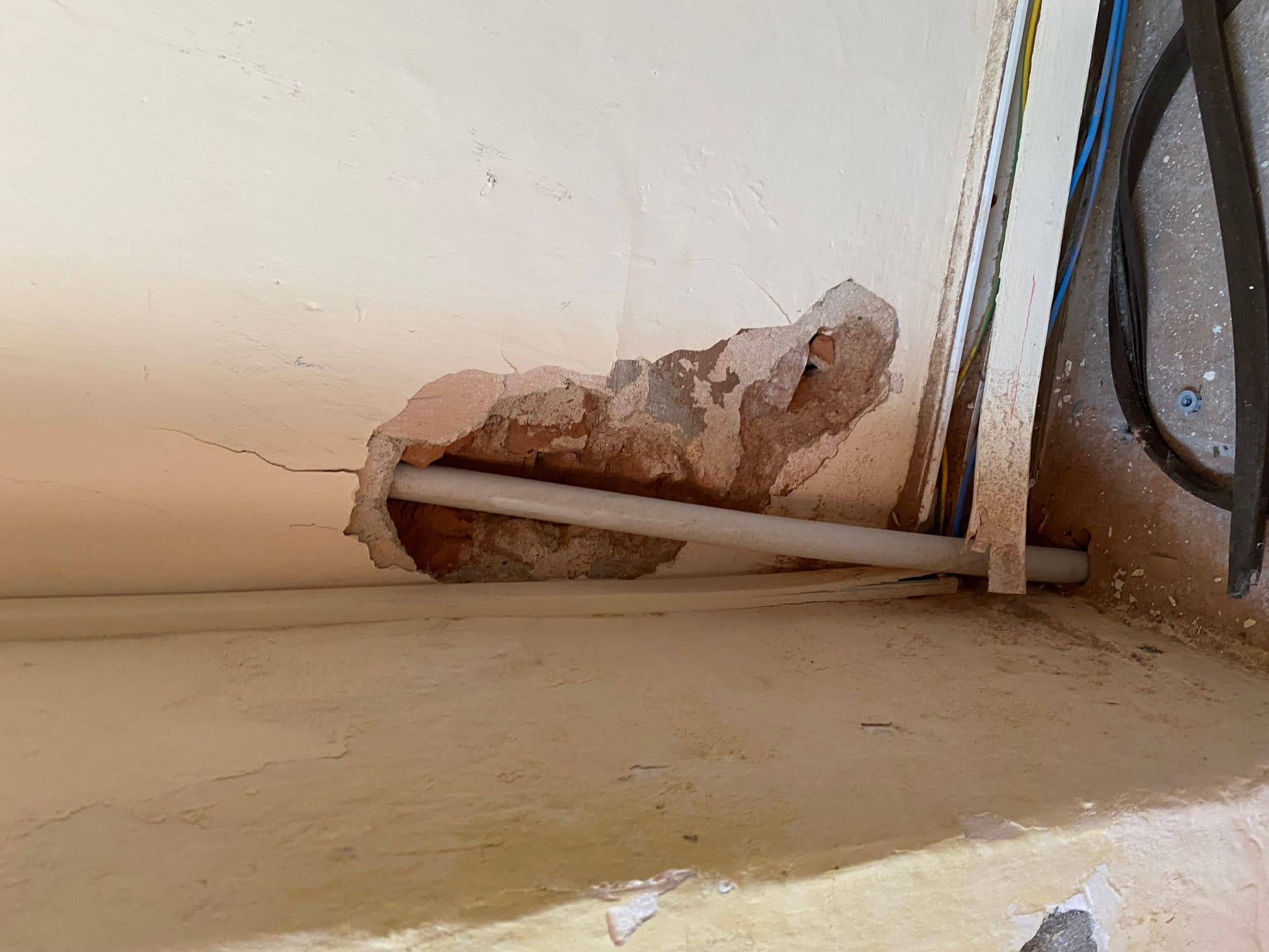 Legalemte.net Legalemte.net