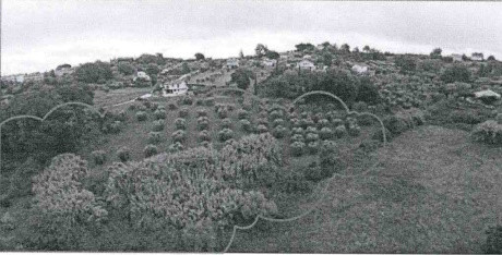 Legalemte.net Legalemte.net