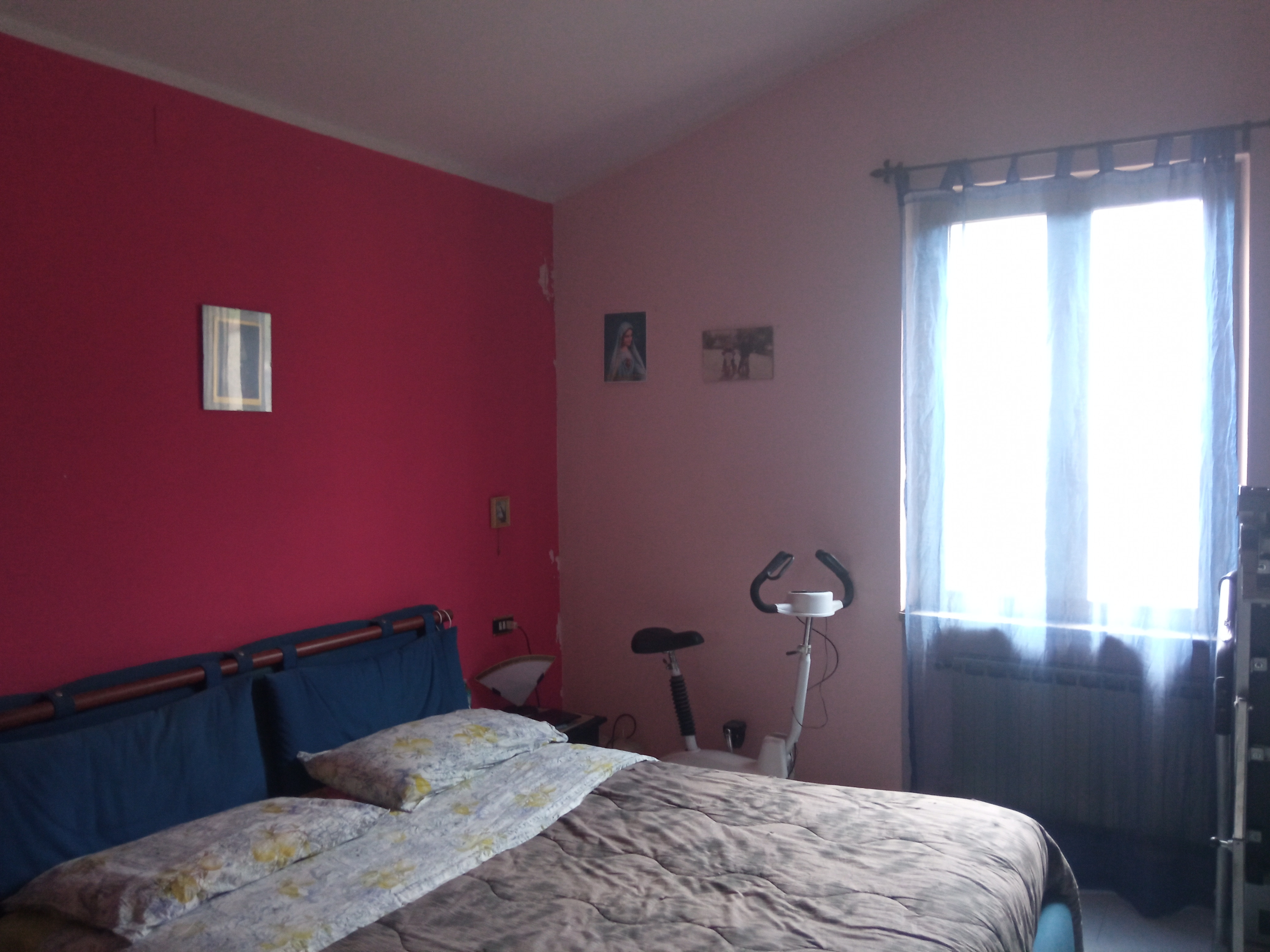 Legalemte.net Legalemte.net