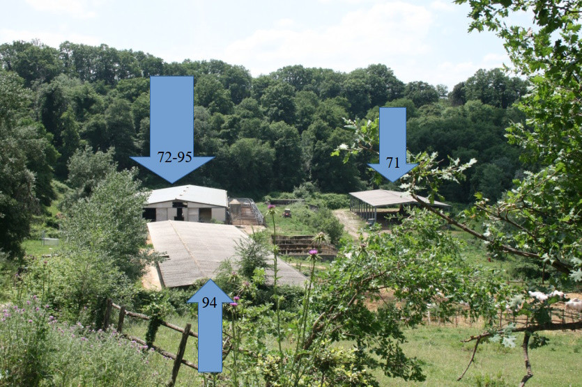 Fabbricati per attività agricole immobile commerciale