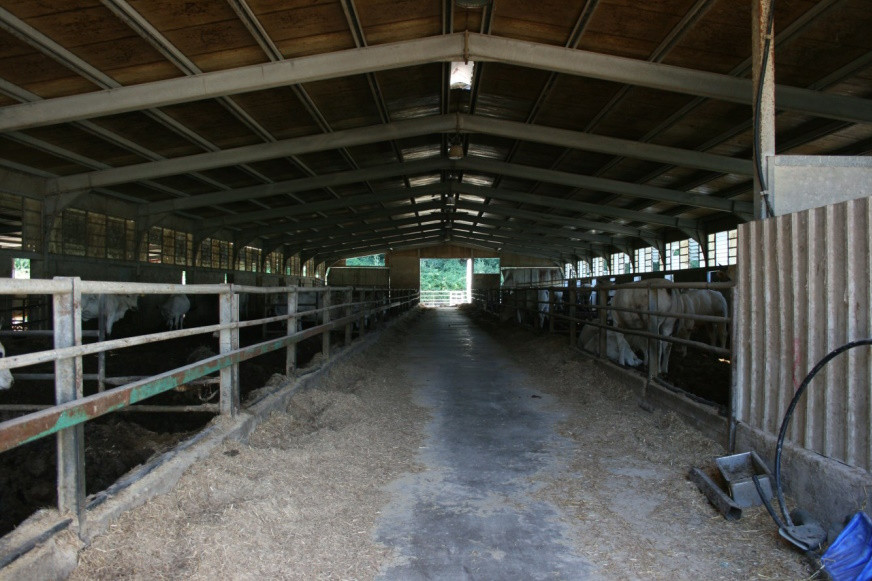 Fabbricati per attività agricole immobile commerciale