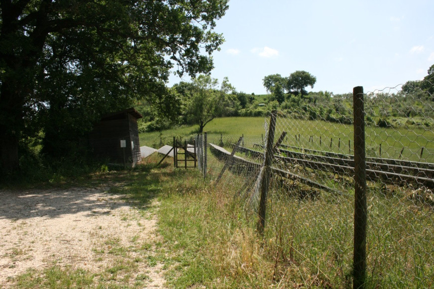 Fabbricati per attività agricole immobile commerciale