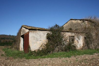 Fabbricati per attività agricole immobile commerciale