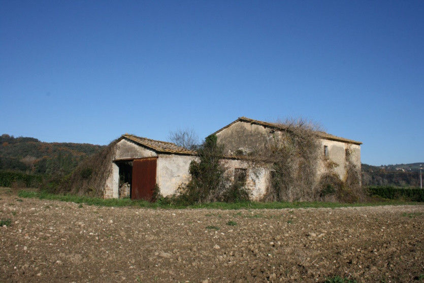 Fabbricati per attività agricole immobile commerciale