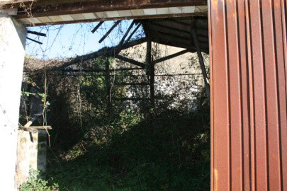 Fabbricati per attività agricole immobile commerciale