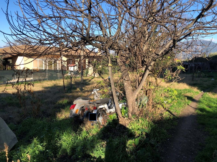 Legalemte.net Legalemte.net