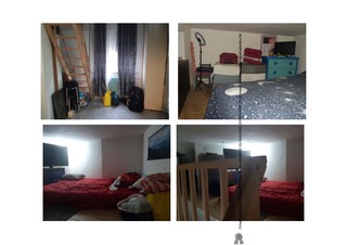 Immobile Procedura 1104 2024