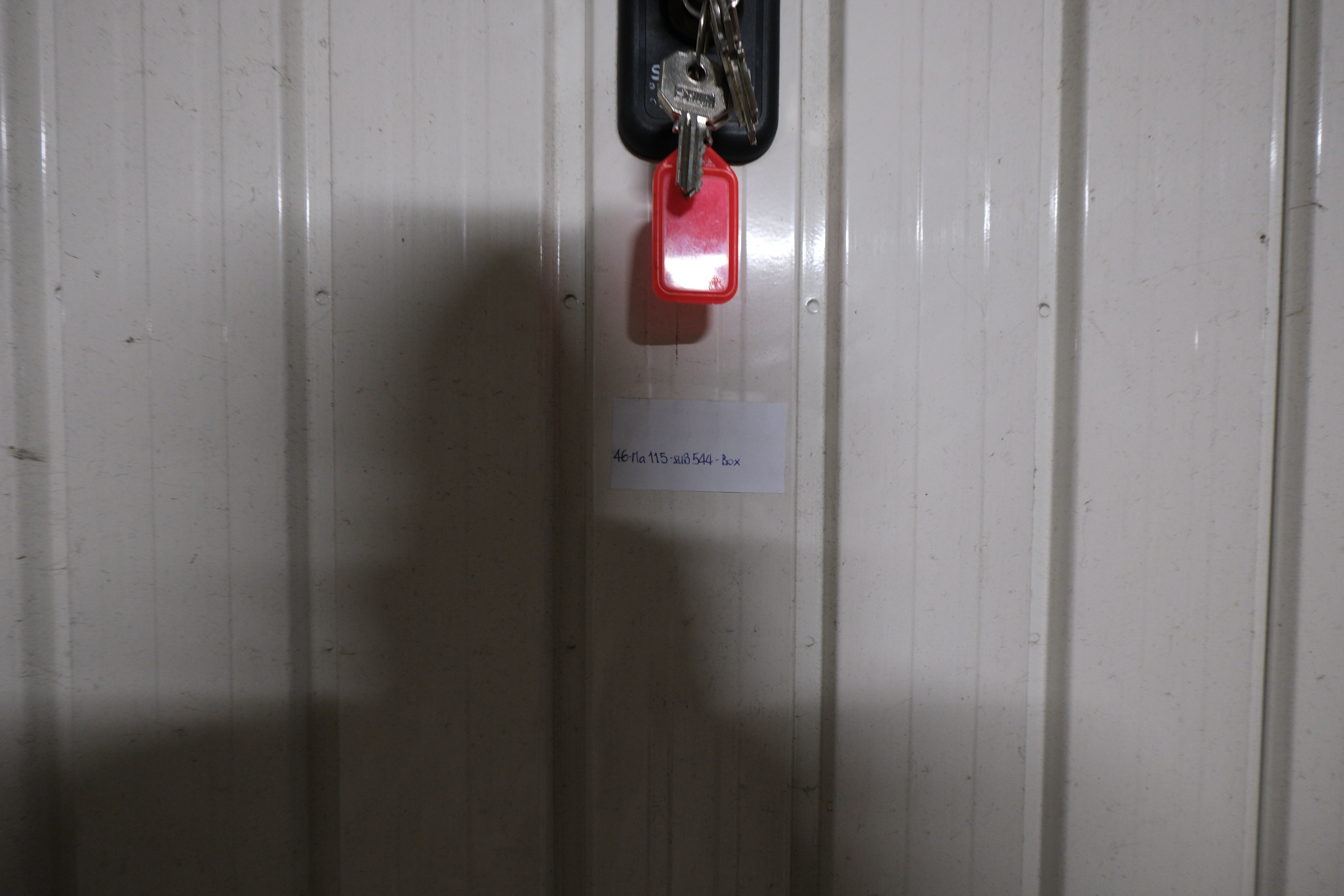 Immobile Procedura 172 2024