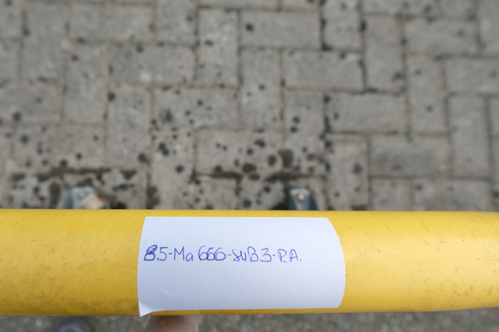 Immobile Procedura 172 2024