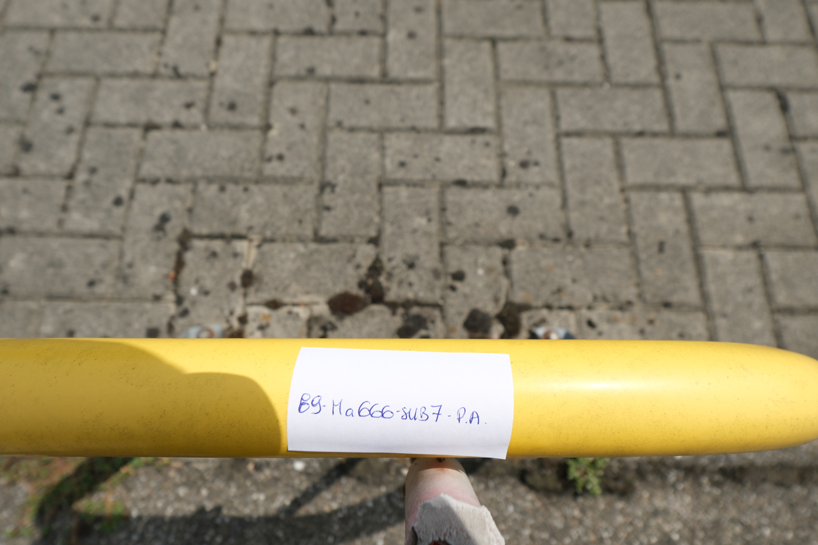 Immobile Procedura 172 2024