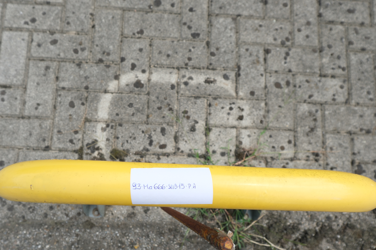 Immobile Procedura 172 2024