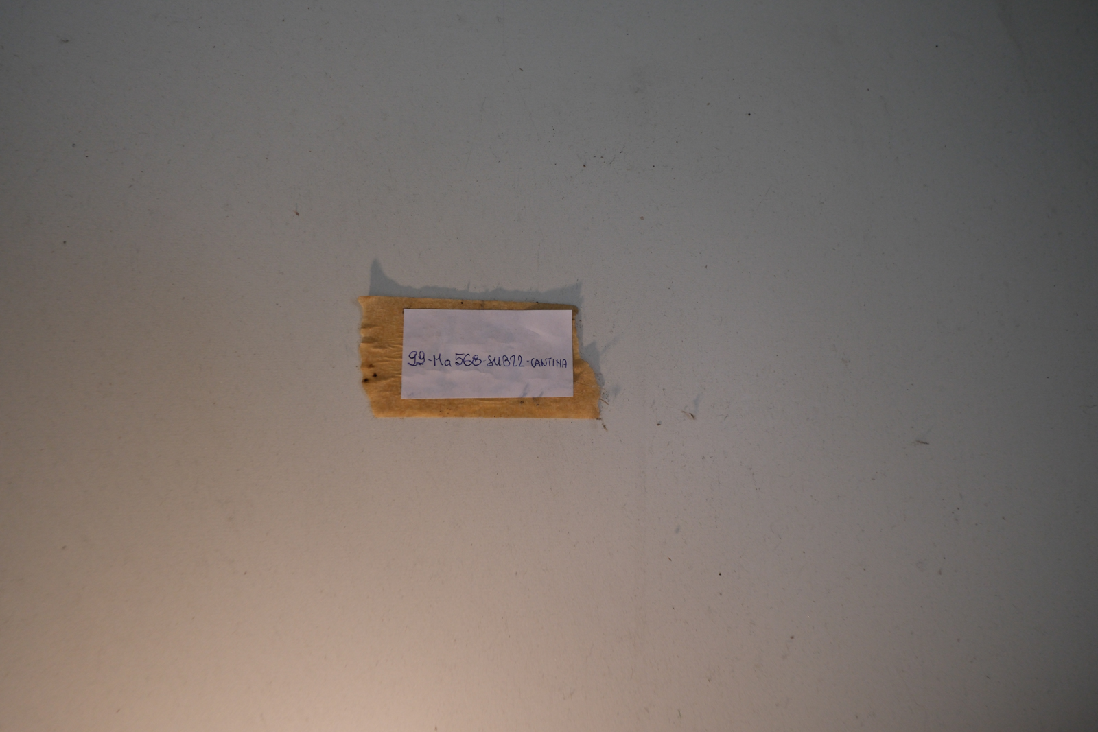 Immobile Procedura 172 2024