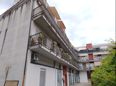 Legalemte.net Legalemte.net