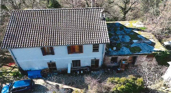 Legalemte.net Legalemte.net