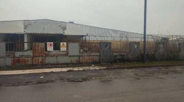 Legalemte.net Legalemte.net