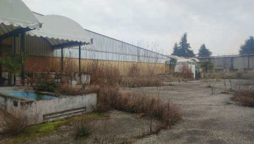 Legalemte.net Legalemte.net