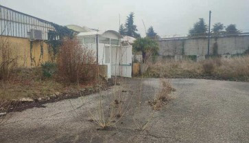 Legalemte.net Legalemte.net