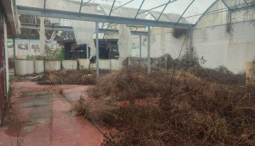 Legalemte.net Legalemte.net