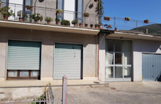 Immobile Procedura 135 2021